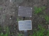 image of grave number 940275